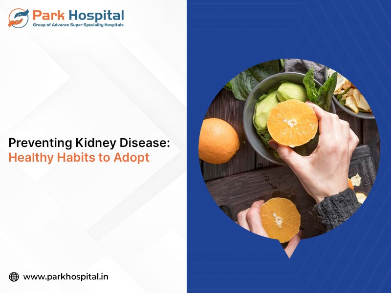 Preventing Kidney Disease: Healthy Habits to Adopt